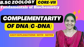 Complementarity of DNA B Sc Zoology 3rd SemesterFundamental of BiochemistryCore VII cDNA [upl. by Laira]