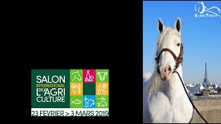 Salon International de lAgriculture de Paris  les chevaux de trait [upl. by Emina]