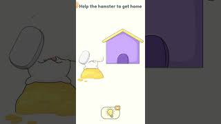 Dop2 level 2150 help the hamster to get home [upl. by Erna344]