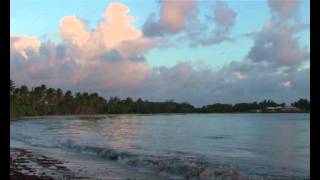 ► Présentation de la plage des Salines en Martinique [upl. by Sacul]