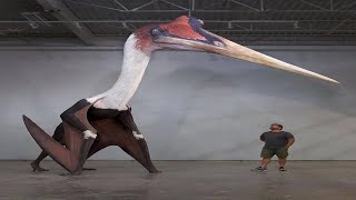 Amazing Facts About the Giant Pterosaur Quetzalcoatlus [upl. by Nwahsud477]