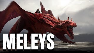 Rhaenys’s Dragon Full History  HOTD Season 2 Episode 4 [upl. by Nnylsor480]