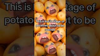 Live footage of potatoes about to be roasted [upl. by Eatnod]