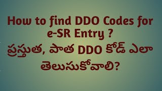 DDO Search  Find Your DDO Code in CFMS [upl. by Nerraj93]