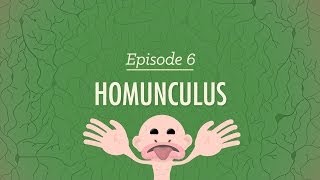 Homunculus Crash Course Psychology 6 [upl. by Ajay973]