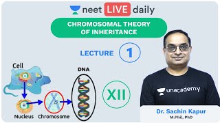 Genetics  Rapid Revision  ICSE Class 10 Biology  Kirti Mehndiratta [upl. by Nysa]