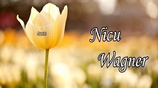 Nicu Wagner  Colaj cu cantari crestine noi [upl. by Edna]