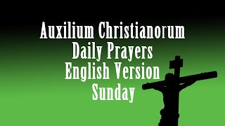 Auxilium ChristianorumSundayFather Ripperger Recommended Prayers English Prayers [upl. by Illom]