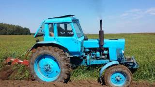 Belarus MTZ80 ploughing with Kverneland 3 furrow plow 2016 [upl. by Yrruc]