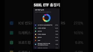 SOXL ETF 반도체 총정리 [upl. by Nikolai]