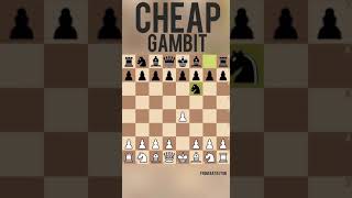 Cheap Lemberger gambit with checkmate in 16 moves [upl. by Asiak]