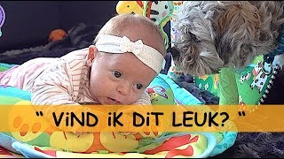 1STE X OP SPEELKLEED 😍 met WOEZEL🐶amp PiP🐶  Bellinga Familie Vlog 944 [upl. by Isaacson]