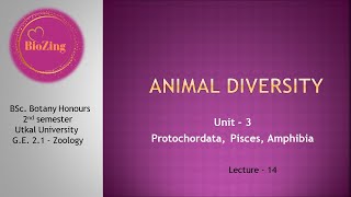 L14  GE Zoology Animal diversity  Bsc Botany Honours  1st  2nd sem [upl. by Anawait321]