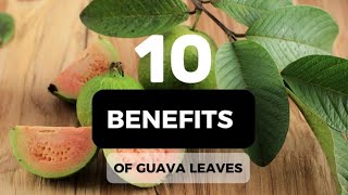 10 HEALTH BENEFITS OF USING GUAVA LEAVES [upl. by Blackwell]