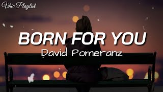 Born For You  David Pomeranz Lyrics [upl. by Lessard720]