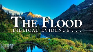 Bible Evidence  The Flood  Thomas Akens [upl. by Nerua]