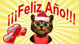 feliz año nuevo  gato dando mensaje de año nuevo  reflexiones  mis deseos para ti  whatsapp [upl. by Melleta]