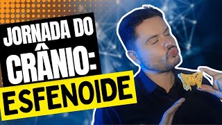 Anatomia do Osso Esfenoide [upl. by Rot]