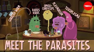 How brain parasites change their hosts behavior  Jaap de Roode [upl. by Margaux979]