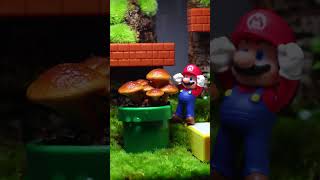 Mushroom Growth Timelapse shorts [upl. by Philo625]