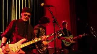 Flamin Groovies  Married Woman 2013 San Francisco [upl. by Leugar]