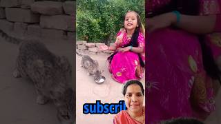 Chhoti Billi mausifunny comedy cutebaby cute बिल्ली chhoti [upl. by Ellennej555]