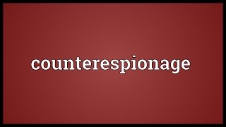 Counterespionage Meaning [upl. by Marian991]