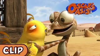 Oscars Oasis  Baby Chicken  HQ  Funny Cartoons [upl. by Anahir915]