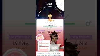 I Got A Perfect IV Scraggy For Great League In Pokémon Go Pokémon Go [upl. by Phylys]