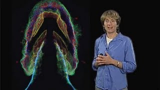 Carolyn Bertozzi UC Berkeley Part 2 Imaging the Glycome [upl. by Ymeraj]