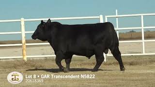 Lot 8 G A R Transcendent N5822 [upl. by Eimerej783]