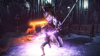 Dark Souls 3  Sword Saint Sulyvahn No Damage [upl. by Namso978]