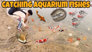 Catching Aquarium Fishes In Village  मैंने मछलियाँ पकड़ लीं [upl. by Zindman]