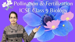 Pollination amp Fertilization Double Fertilization Triple Fusion ICSE Class 9 Biology [upl. by Yelroc]