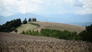 La Farina di Enkir la produzione di Mulino Marino  I Produttori Eataly [upl. by Lladnek]