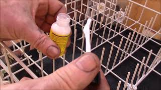 Dishwasher Rack Repair Part 3 [upl. by Allesor]