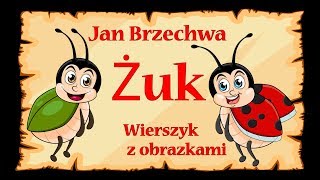 🐞🐞🐞Żuk  Jan Brzechwa  wierszyk bajka animacja dla dzieci [upl. by Aicilav]