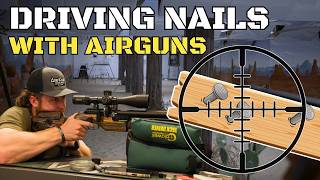 Could an Airgun Replace Your Hammer  Shooting Nails With Airguns [upl. by Adaj]