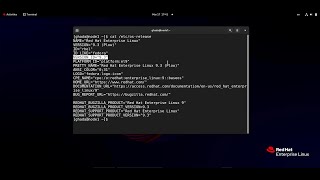 StepbyStep Guide How to Reset Root Password on RHEL 93  Easy and Quick Tutorial [upl. by Peedsaj52]