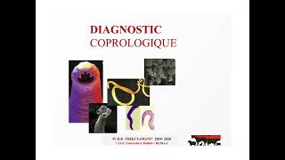 TD 1  Diagnostic coprologique partie 1 [upl. by Aronal]