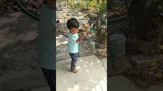 Tuktuki khela korche biraler sathe shortsfeed nature shortsviral kidslove kidsvideo [upl. by Negem]