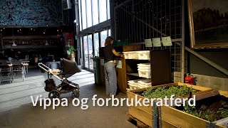 Vippa og forbrukeratferd [upl. by Seraphina]