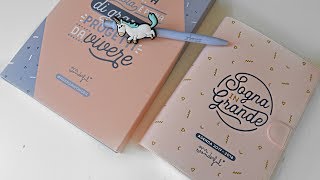 RECENSIONE AGENDA MR WONDERFUL poket giornaliera Unboxing e prime impressioni [upl. by Nahallac]