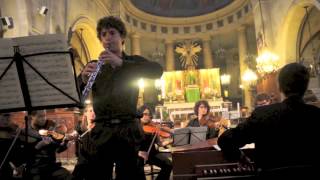 MARCELLO concerto pour hautbois [upl. by Annaiuq]