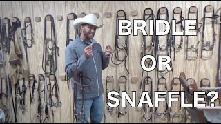 Bridle VS Snaffle  Something You May Not Have Known [upl. by Euv]