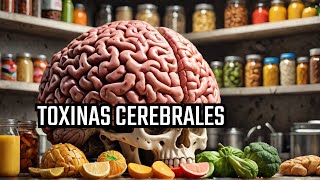 ALIMENTOS TÓXICOS para el CEREBRO [upl. by Riker]