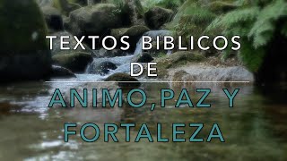 15 TEXTOS BIBLICOS DE ANIMO PAZ Y FORTALEZA [upl. by Odin]