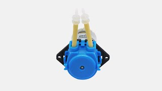 Kamoer NKP 12V Low Flow Micro Liquid Dosing Peristaltic Pump for OEM [upl. by Mill]