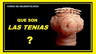 Todo sobre la TENIASIS  Curso de Helmintología [upl. by Goodman]