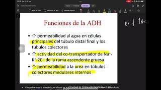 5 Concentración y Dilución de Orina  Osmolaridad ADH y Regulaciones [upl. by Allys368]